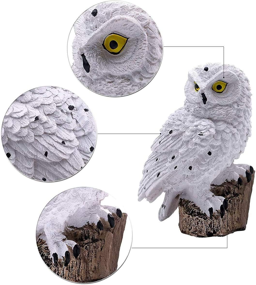 Avelis | Solar Uil-Gazonlamp