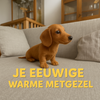 Daichy™ - Je perfecte speelkameraad en troostende metgezel