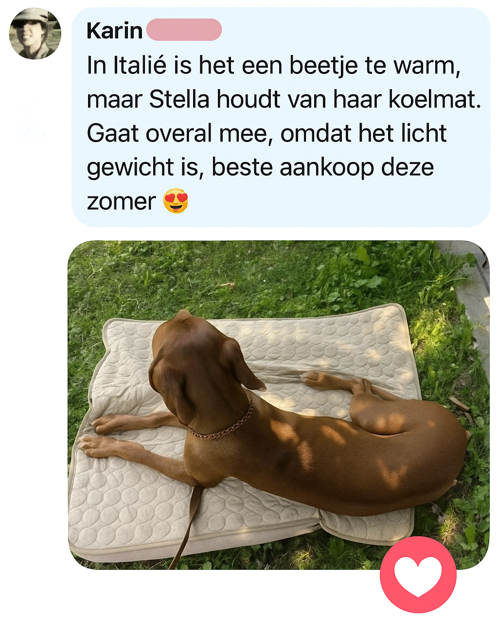 verkoelende hondenmat 2.0 (1+1 GRATIS)
