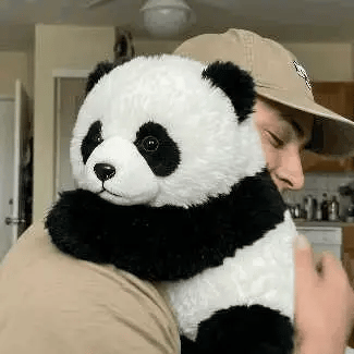 The Pandy™ - Emotionele genezing voor jou
