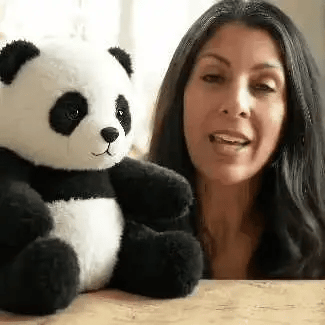 The Pandy™ - Emotionele genezing voor jou