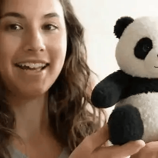The Pandy™ - Emotionele genezing voor jou